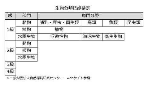 仕事の内容詳細画像