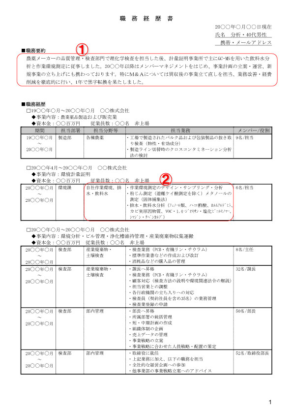 分析技術者職務経歴書事例-1